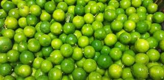 Equipo de trabajo Agriworld Produce